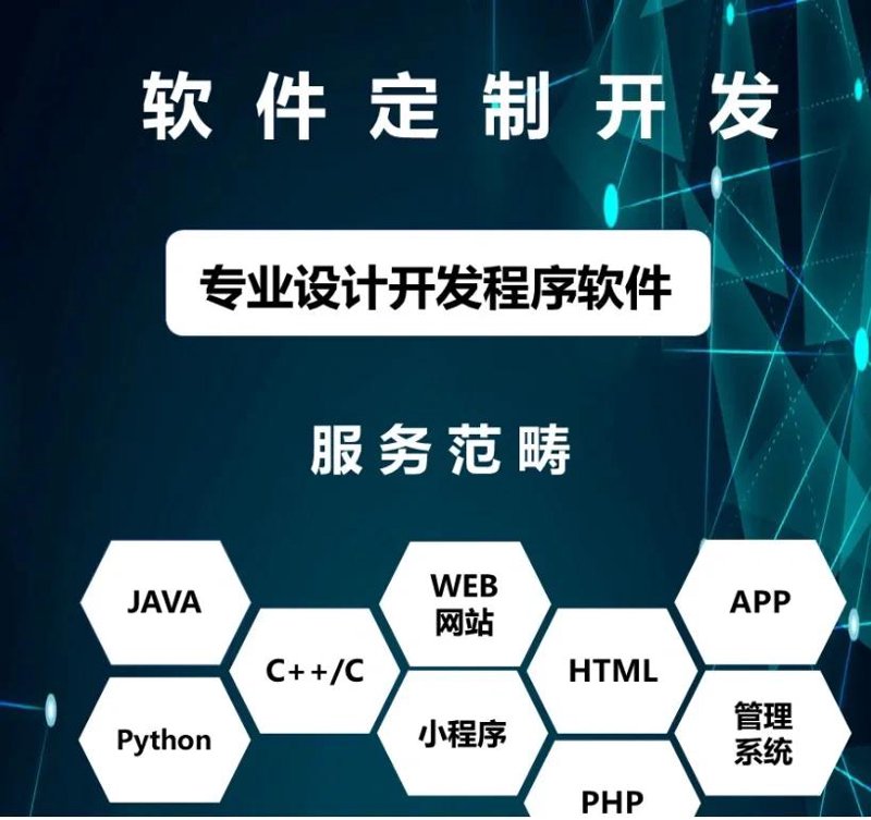 企业级软件开发:构建未来商业版图的力量